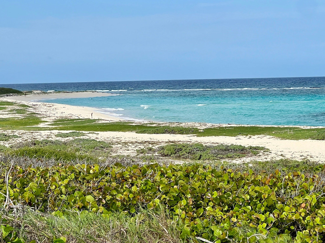 Grapefield Beach-San Nicolas必去景点