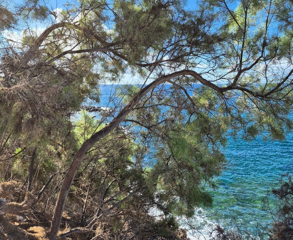 Playa del Bobo-奥德杰海岸必去景点