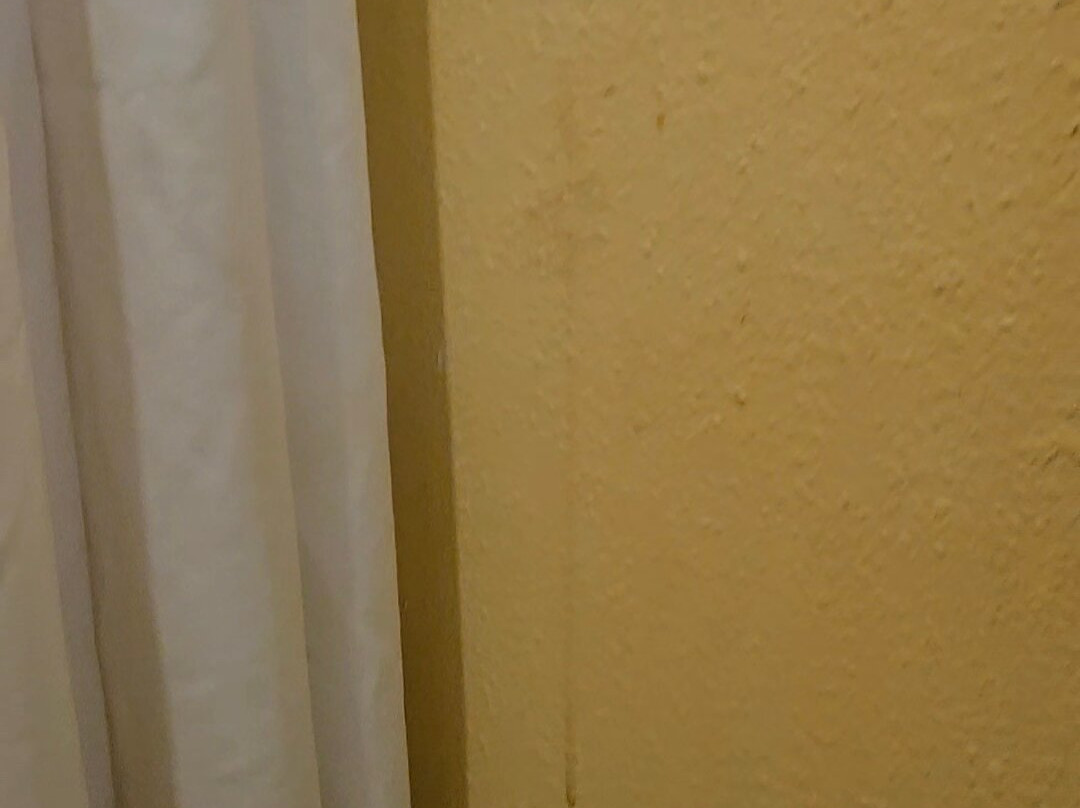 Baymont by Wyndham Springfield主图