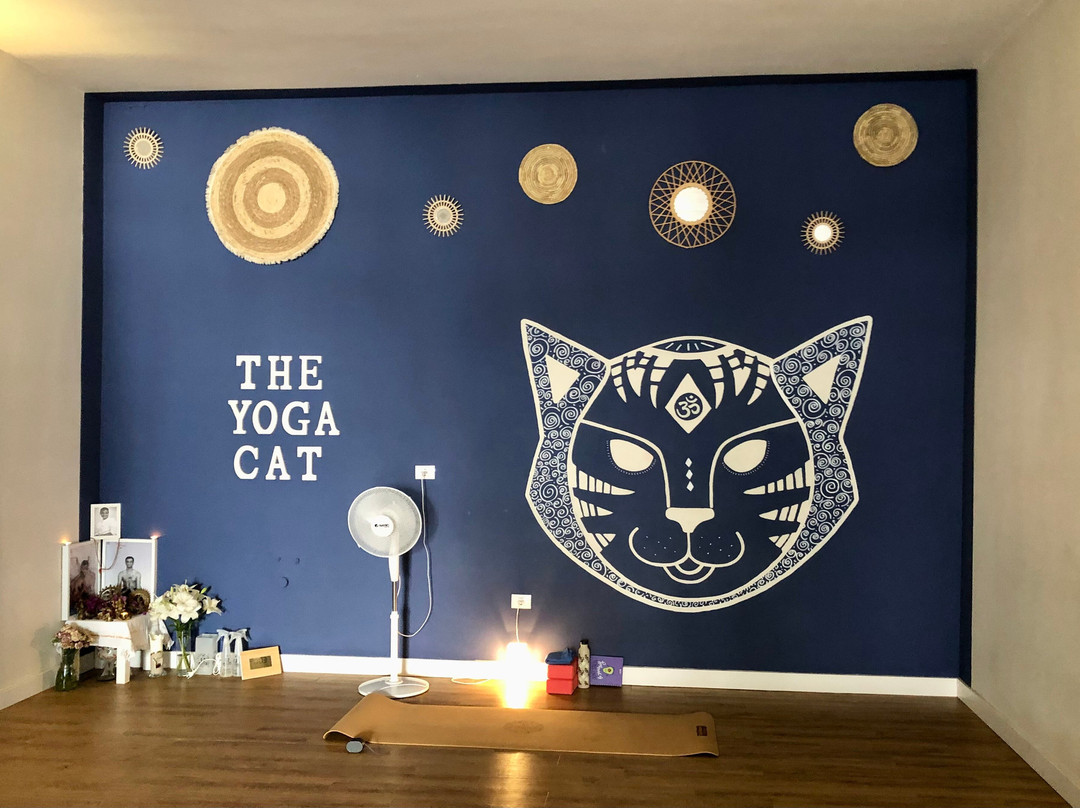 The Yoga Cat Tenerife-Los Abrigos必去景点