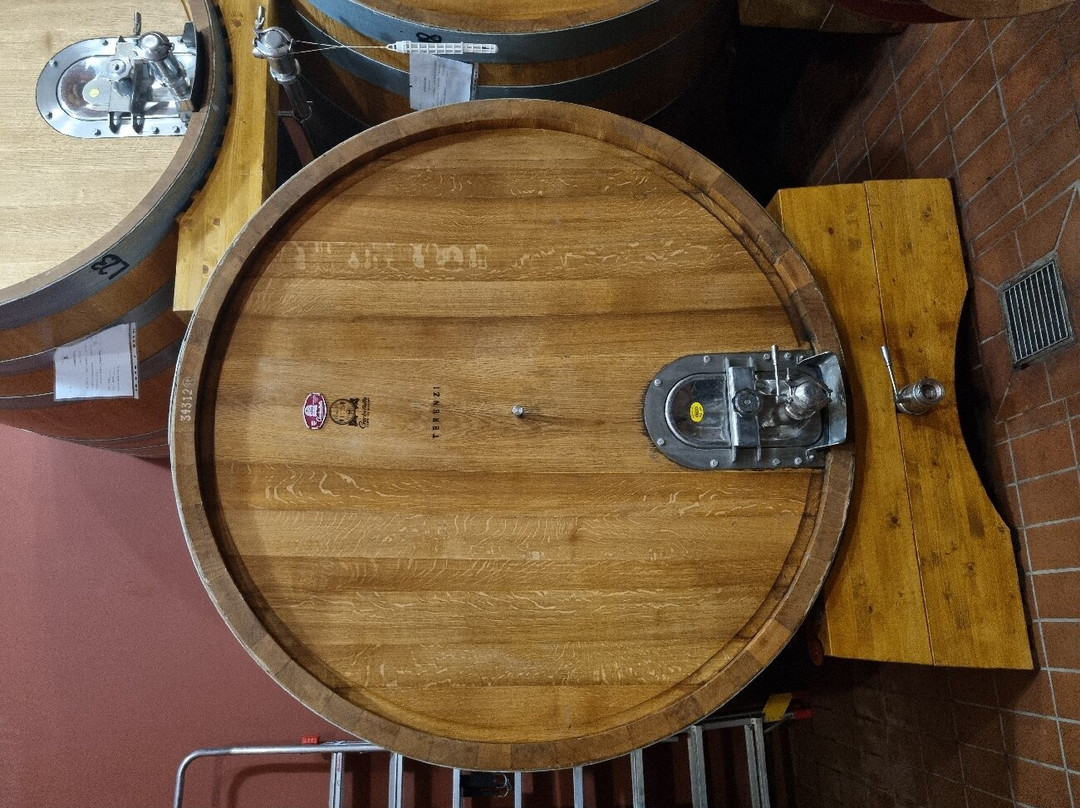 Terenzi Winery-Scansano必去景点