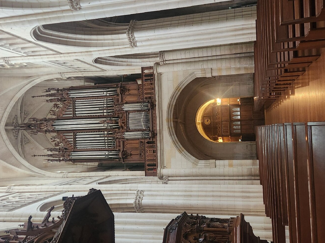 La Cathédrale Notre-Dame de l'Assomption景点图片