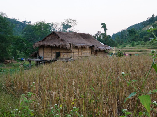 Thoulasith Guesthouse主图