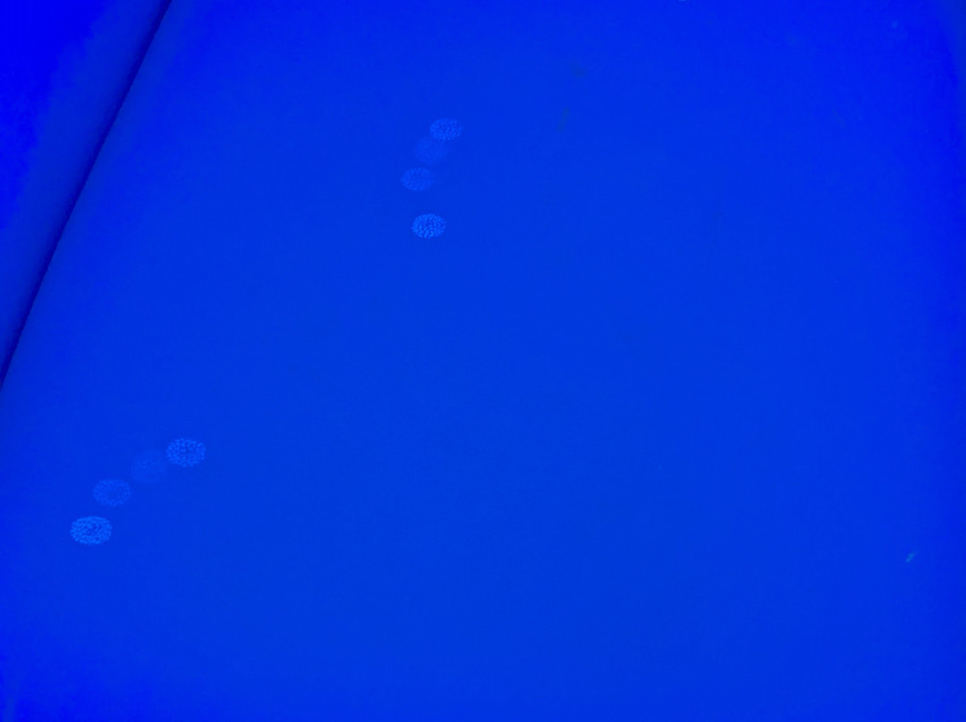 Days Inn by Wyndham Renfro Valley Mount Vernon主图