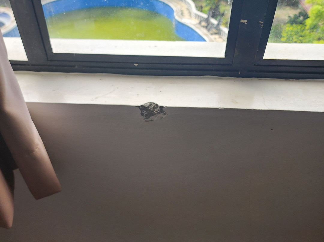 Isla De Oro Hotel主图