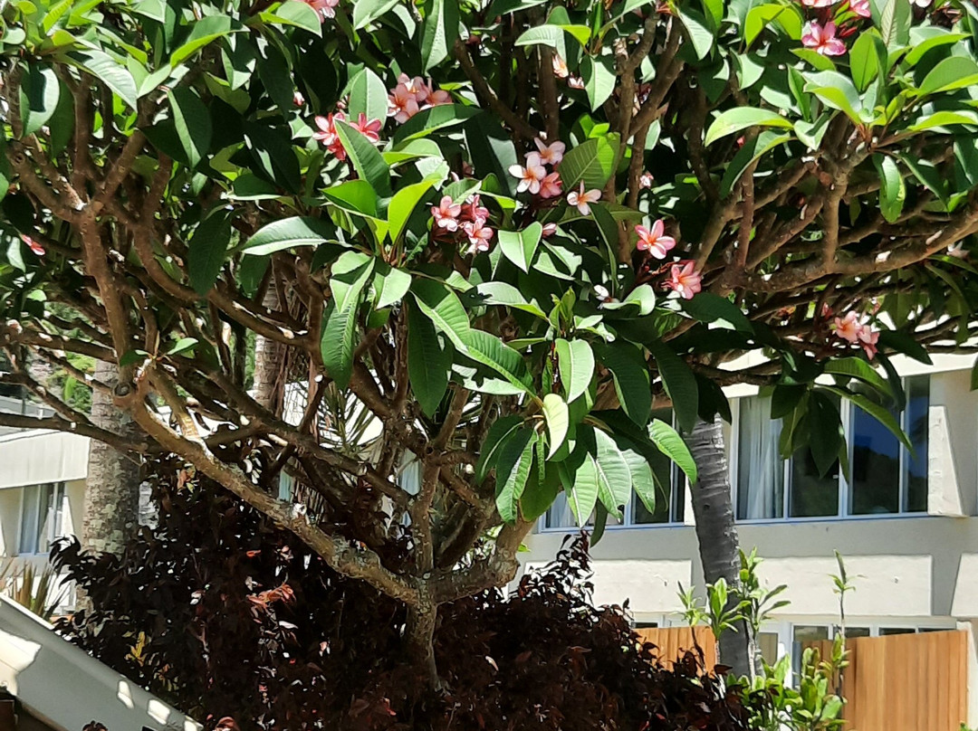 Quest Cannon Hill主图