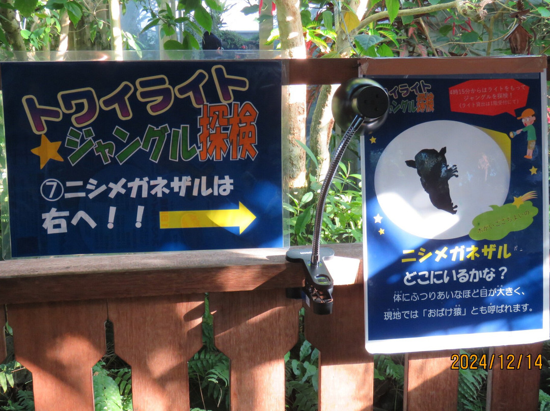 Tropical Environment Greenhouse Dome-板桥区必去景点