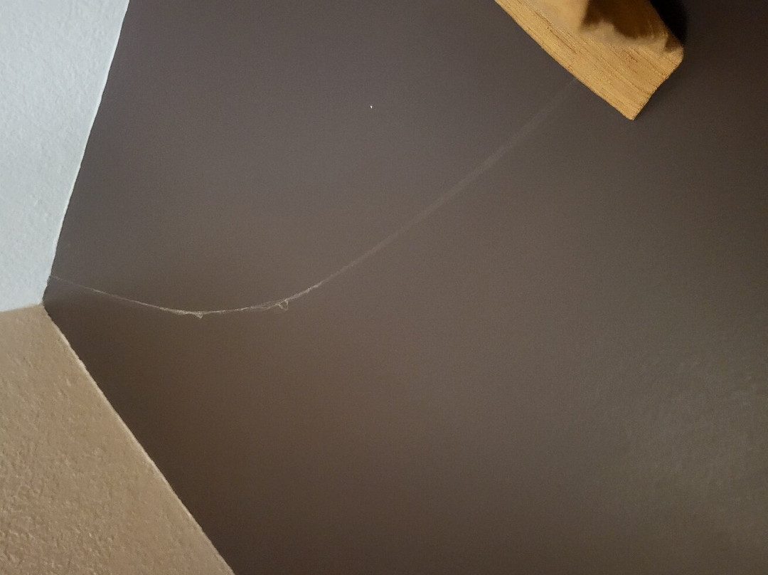 Best Western Flora Inn主图