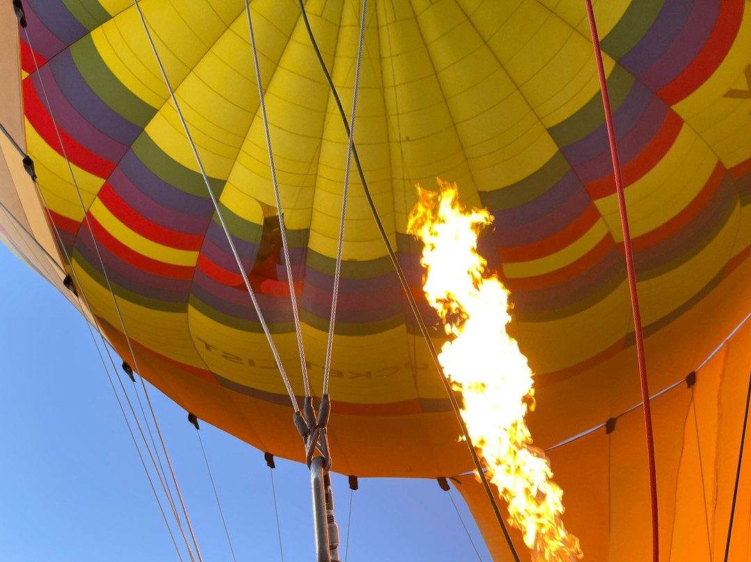 Rainbow Ryders Hot Air Balloon Ride Co.-格兰岱尔必去景点