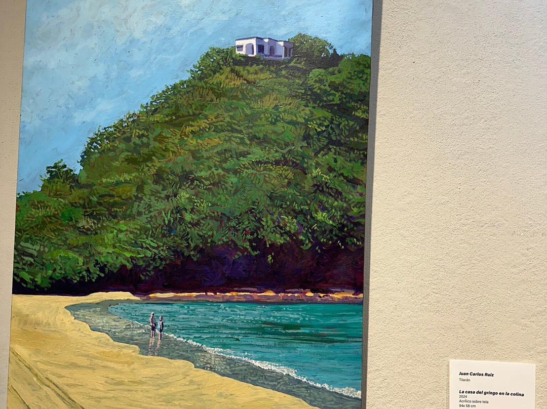 Museo de Guanacaste景点图片