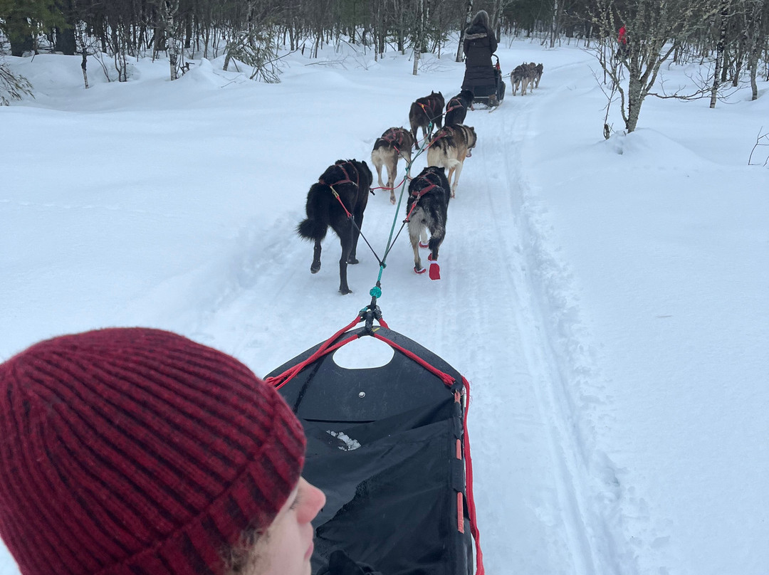 Chamberlin's Ole Forest Inn主图