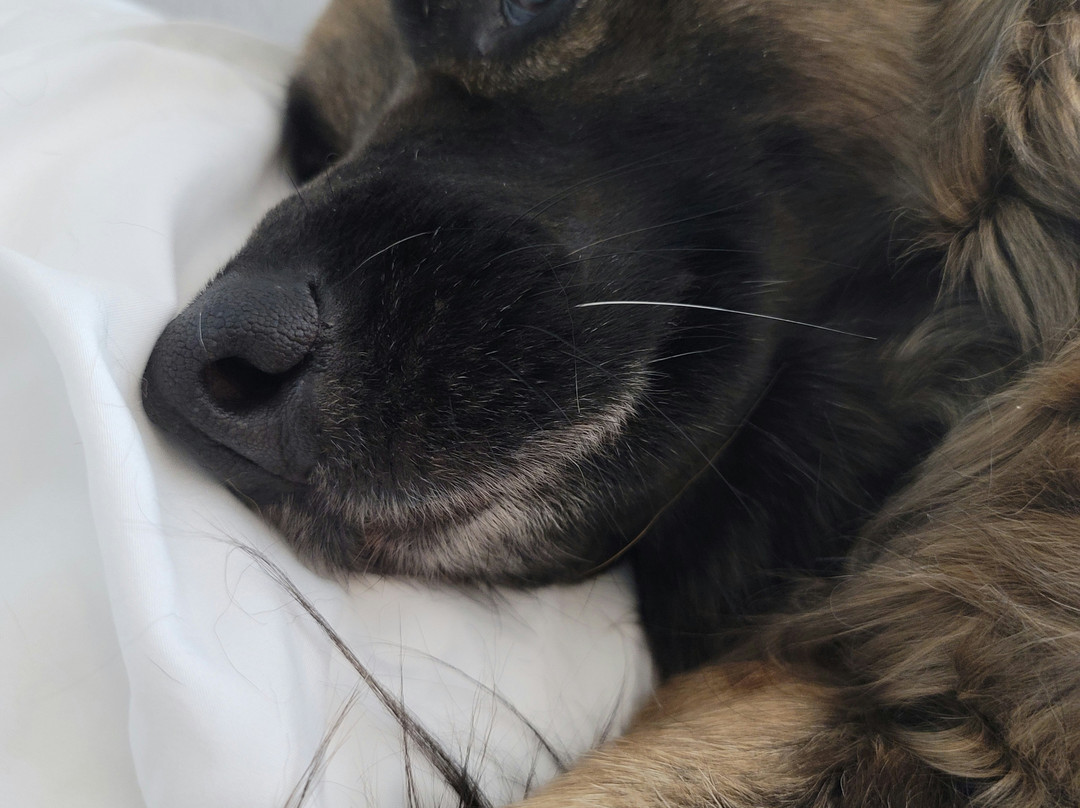 Home Inn Express Medicine Hat主图