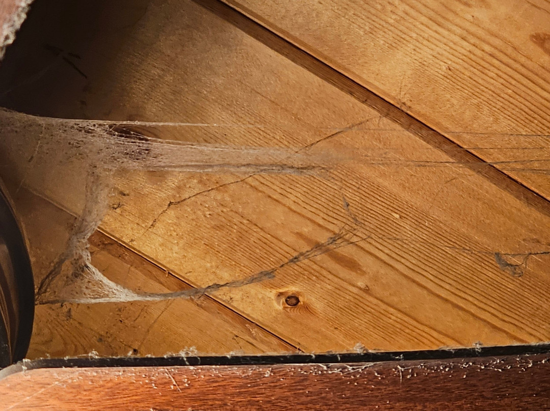 Pinecrest Chalet主图