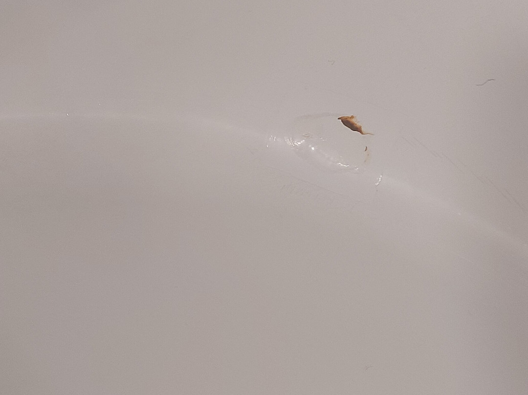 Classic Begur Hotel-Spa主图