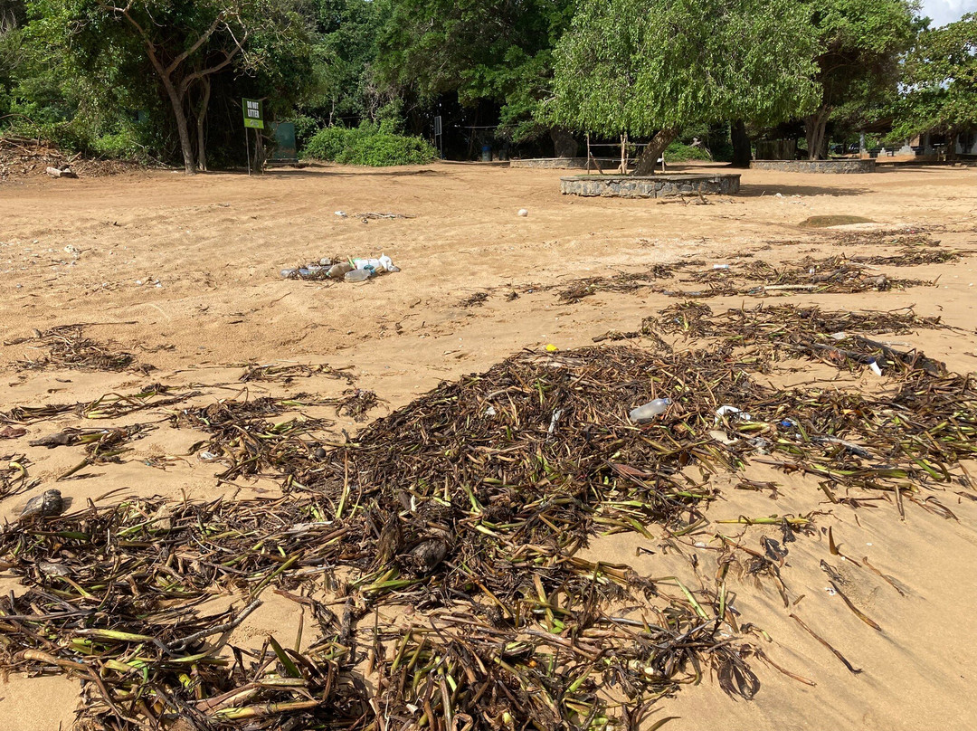 Marble Beach-Trincomalee必去景点