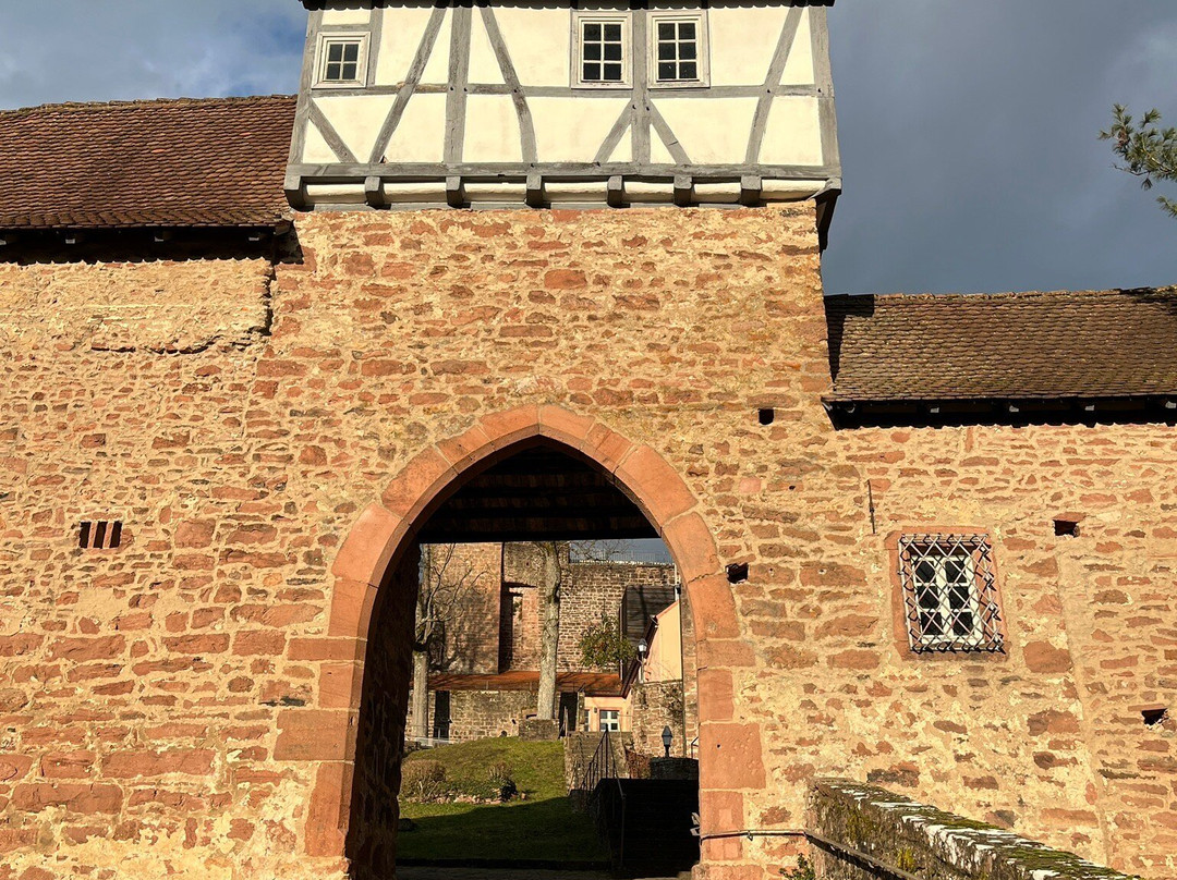 Schloss Hirschhorn景点图片