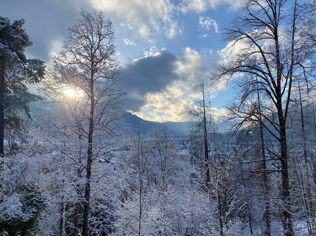 Landhotel & BergGasthof Panorama主图