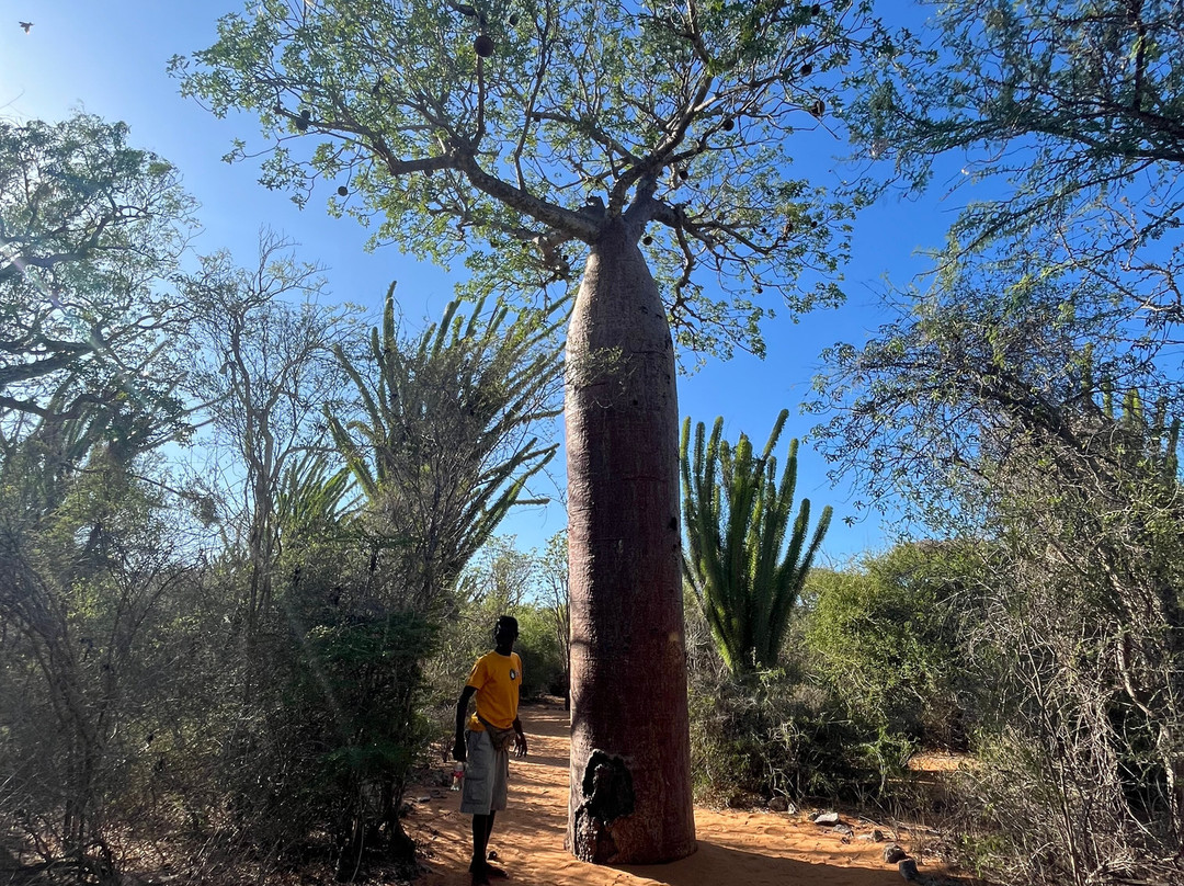 Tsaraventura Madagascar Tour Operator景点图片