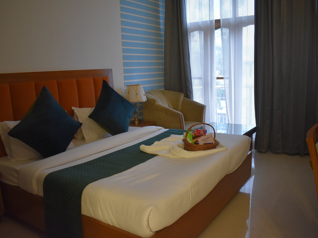 帕德米尼宫酒店主图