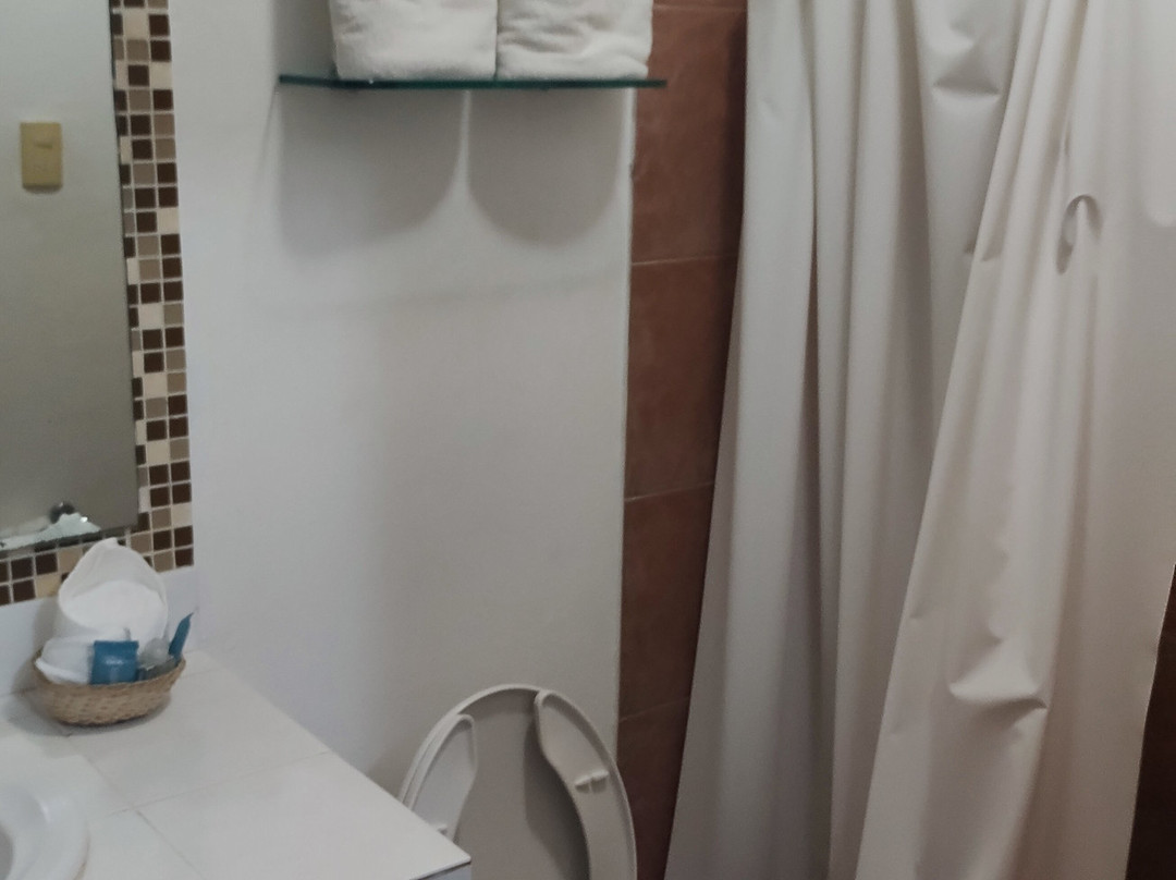 Hotel Del Carmen主图