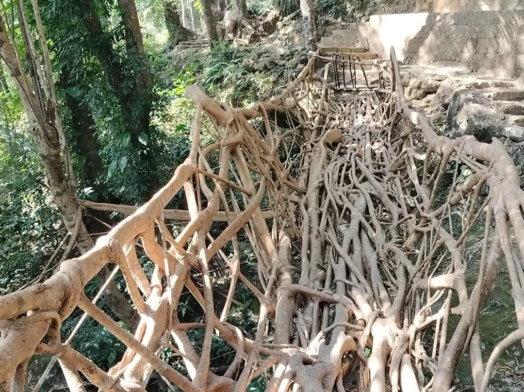 Umkar Living Root Bridge景点图片