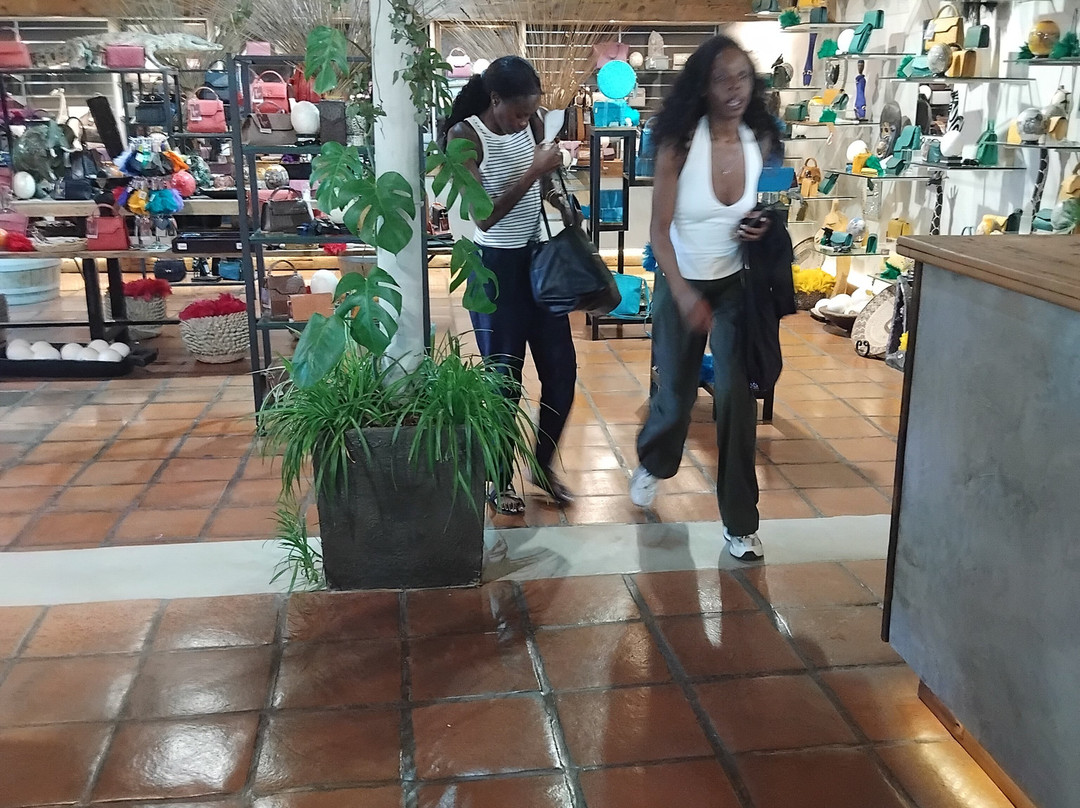 Cape Town Ostrich Ranch-开普敦中心区必去景点