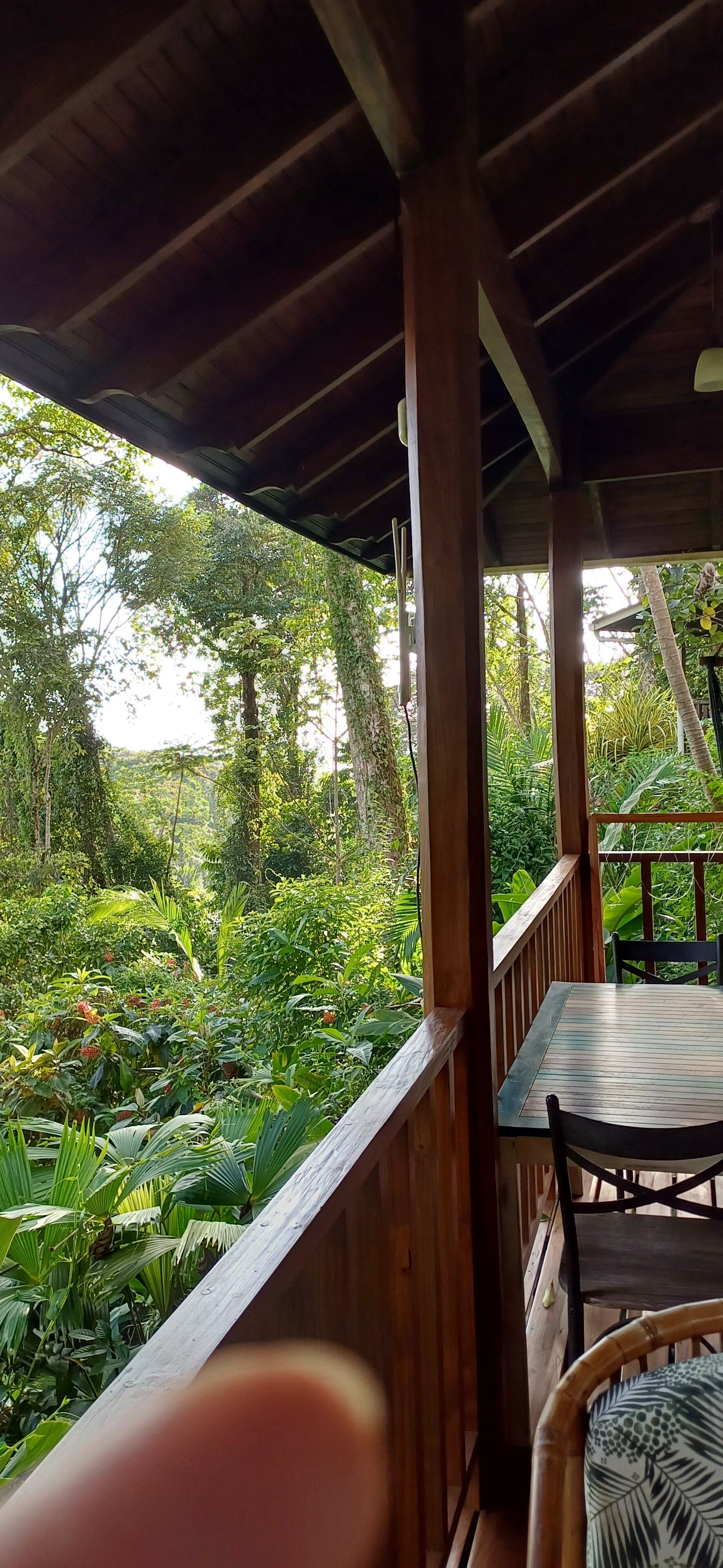 Villas En El Bosque-酒店景观