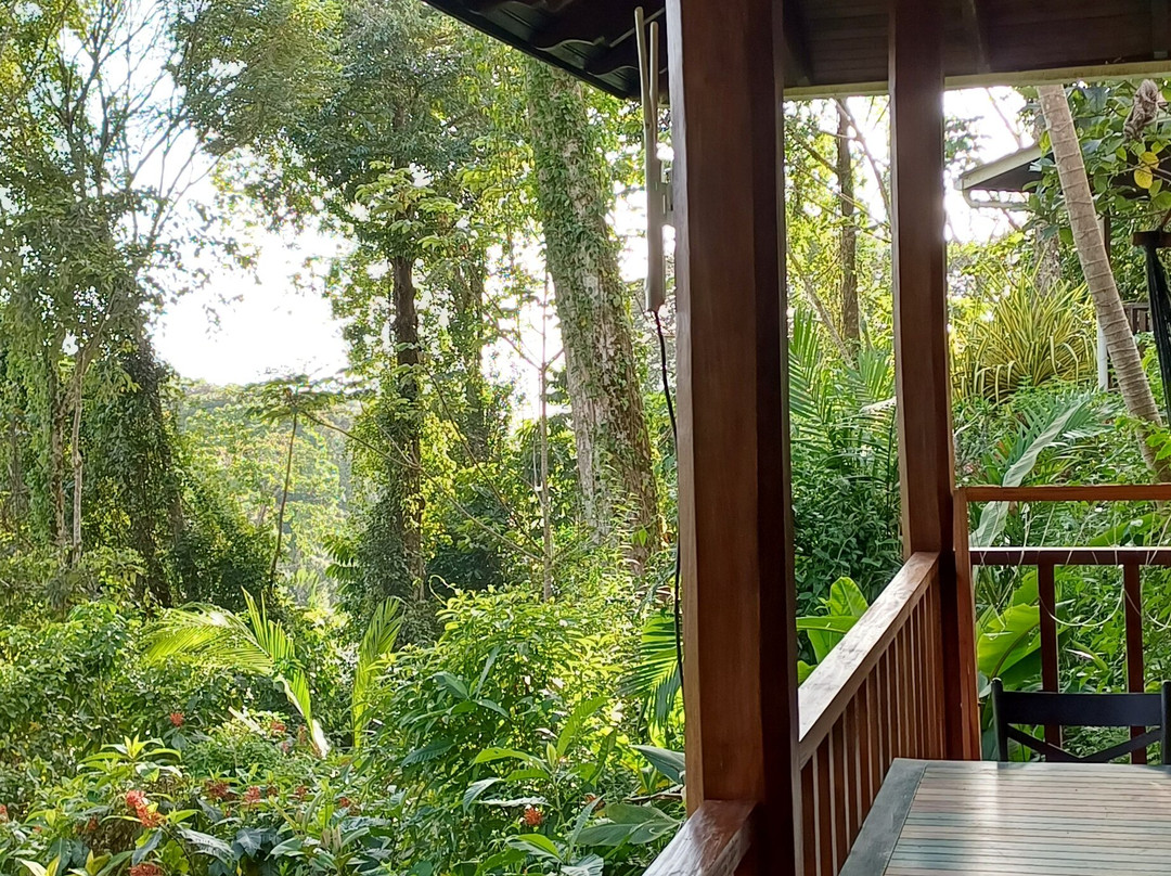 Villas En El Bosque主图