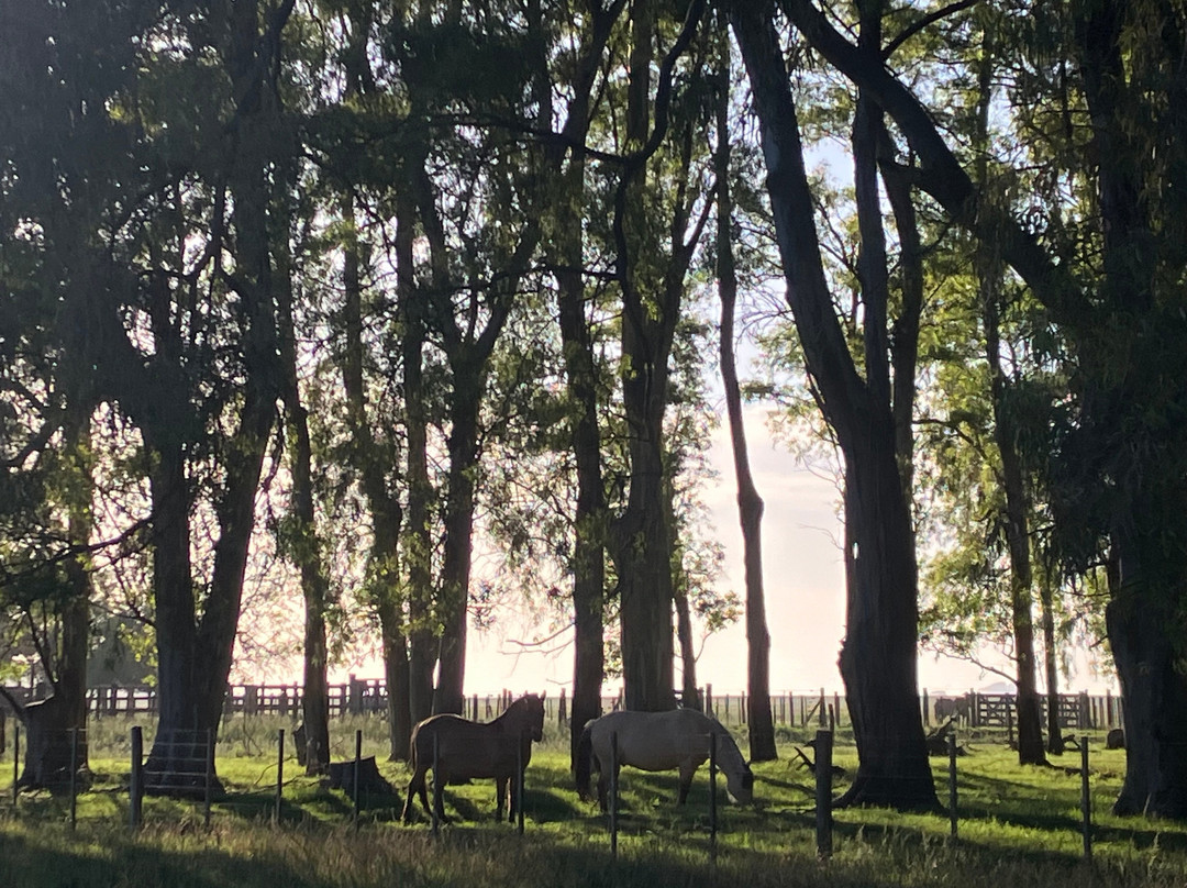 Estancia La Tomasa主图