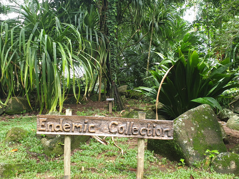Island Tour Seychelles-维多利亚必去景点