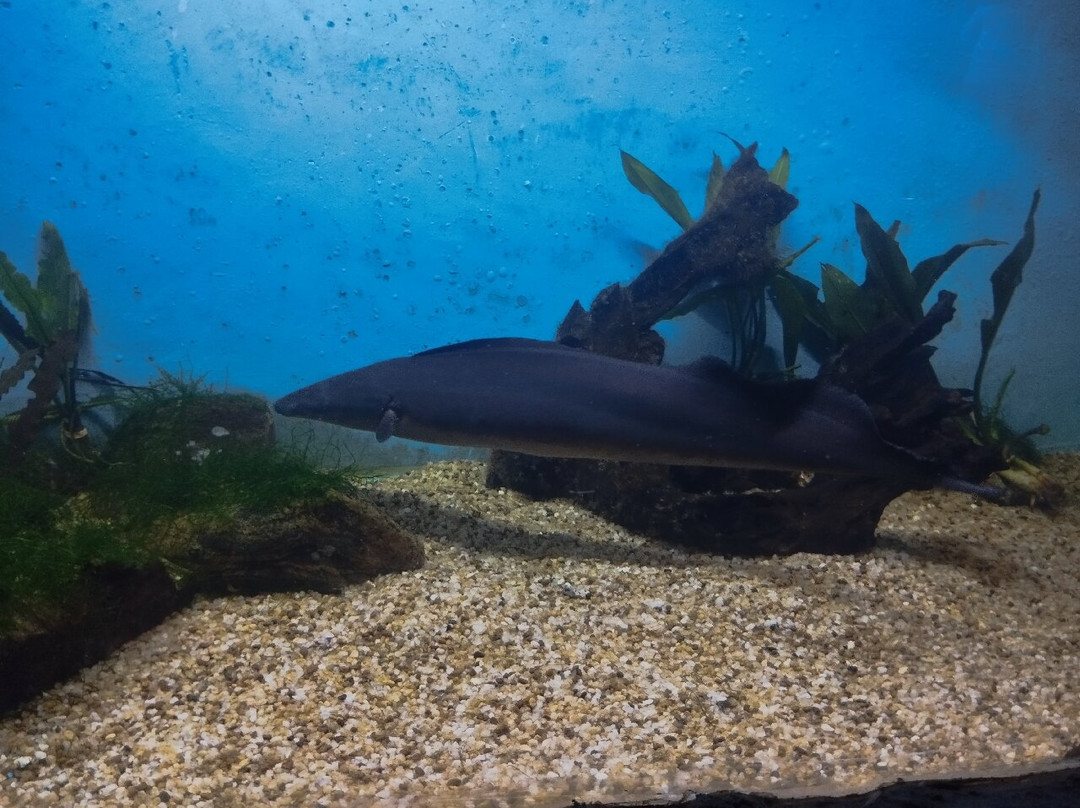 Water World Lanka景点图片