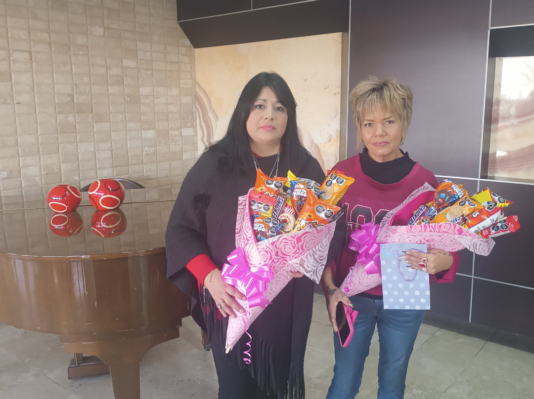 Mision Torreon主图