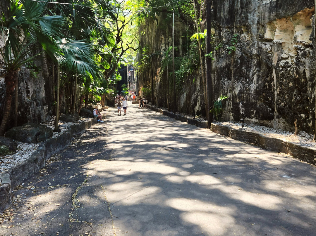 Miss Lady Concierge Services-拿骚必去景点