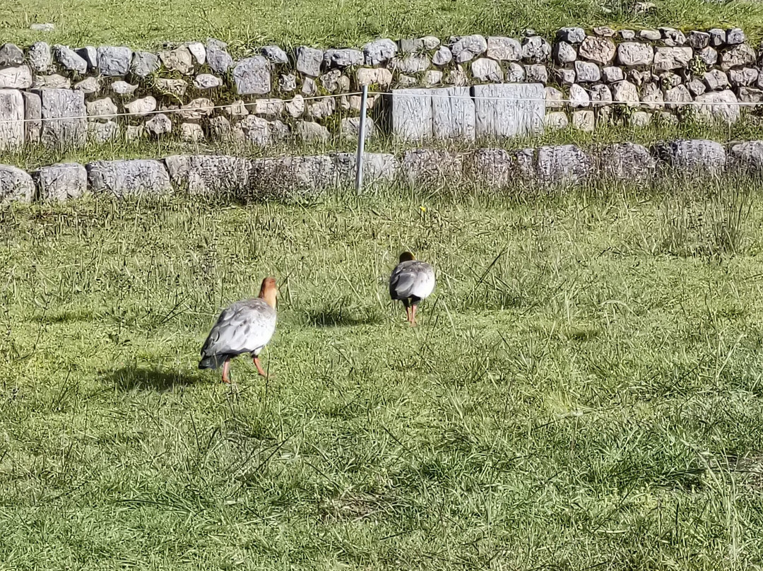 CUSCOATOUR-马丘比丘必去景点