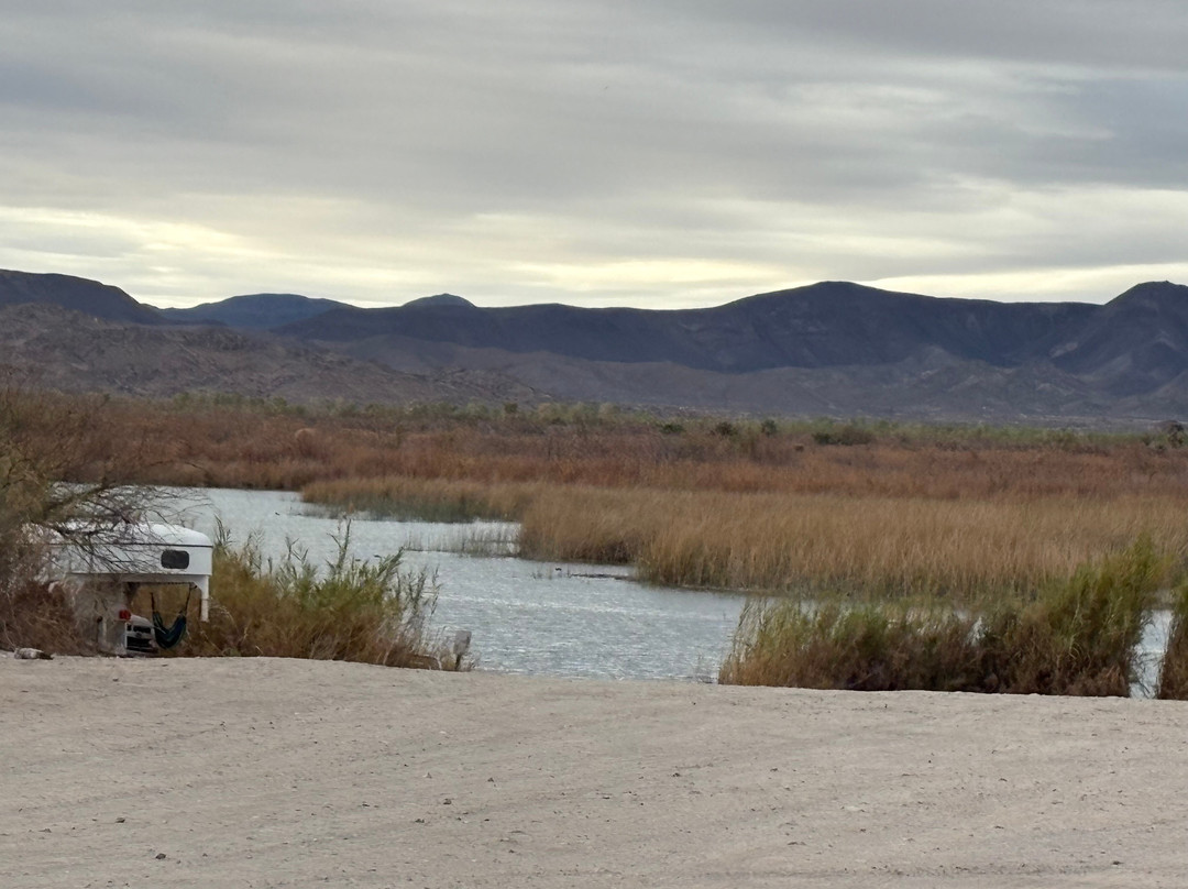 Mittry Lake Wildlife Area-尤马必去景点