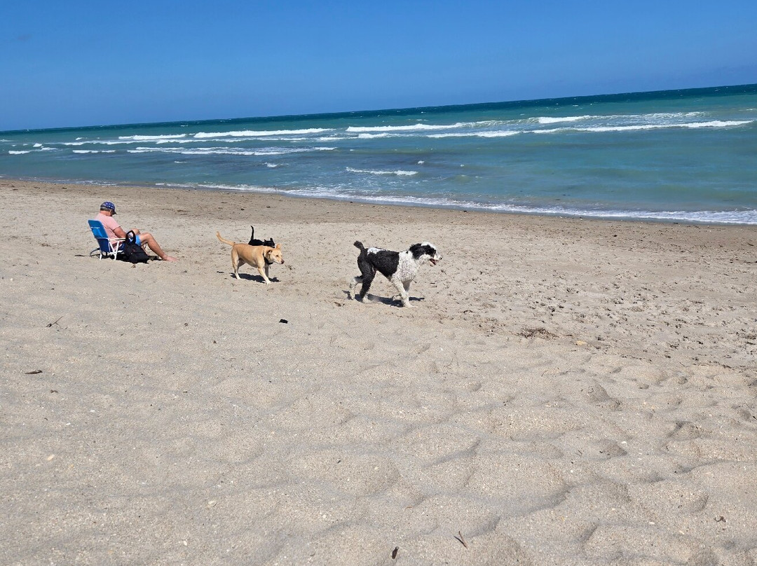 Walton Rocks Beach-Jensen Beach必去景点
