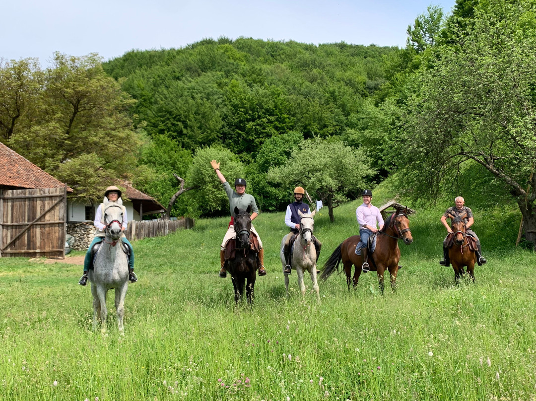 Count Kálnoky's Riding Holidays景点图片