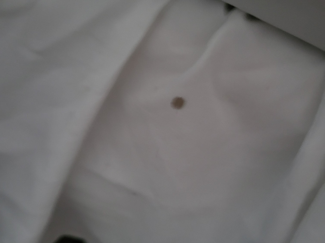 Lincoln Inn Fredericton主图