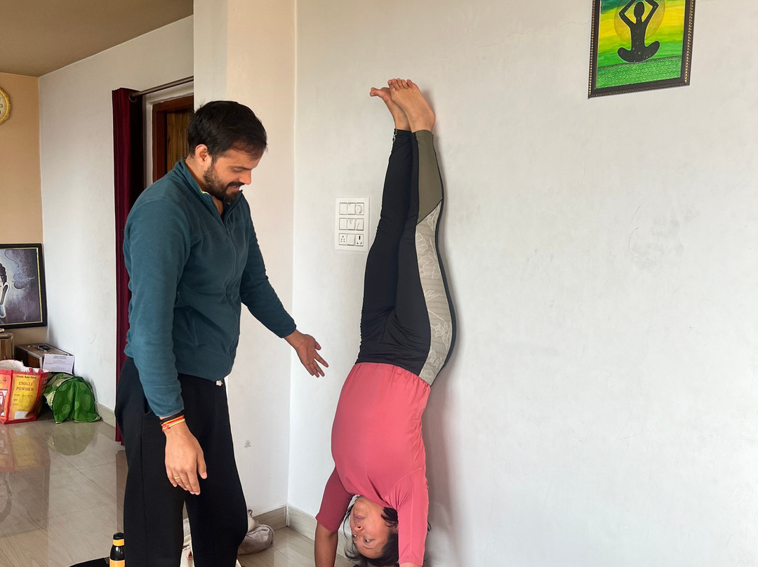 Arogya Yoga School景点图片