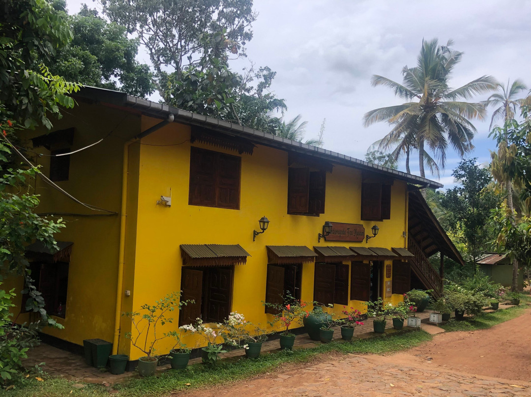 Handunugoda Tea Estate景点图片