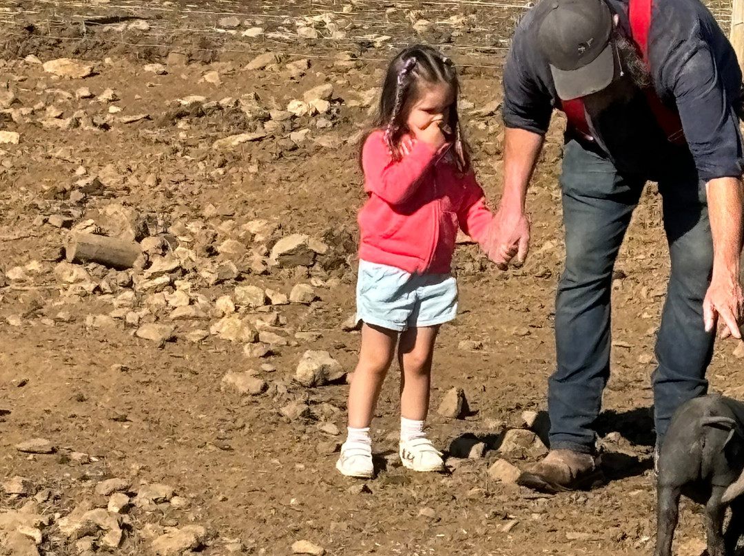 Belding Hill Farms-Hampton必去景点