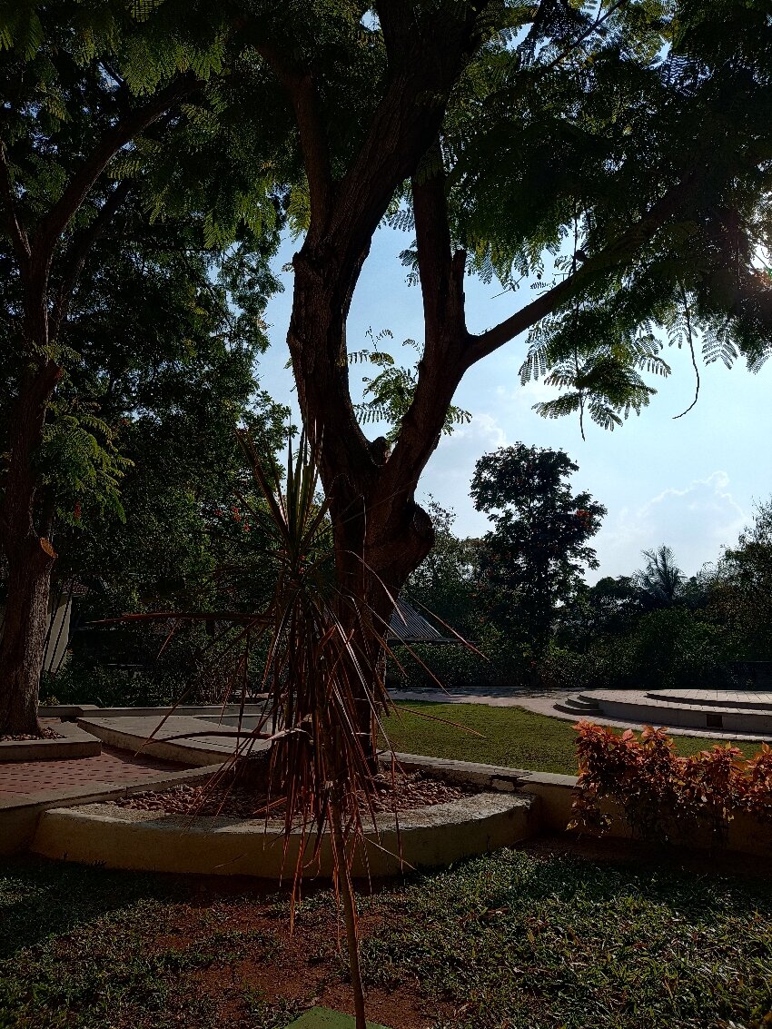 Sterling Arunai Anantha - Tiruvannamalai-官方