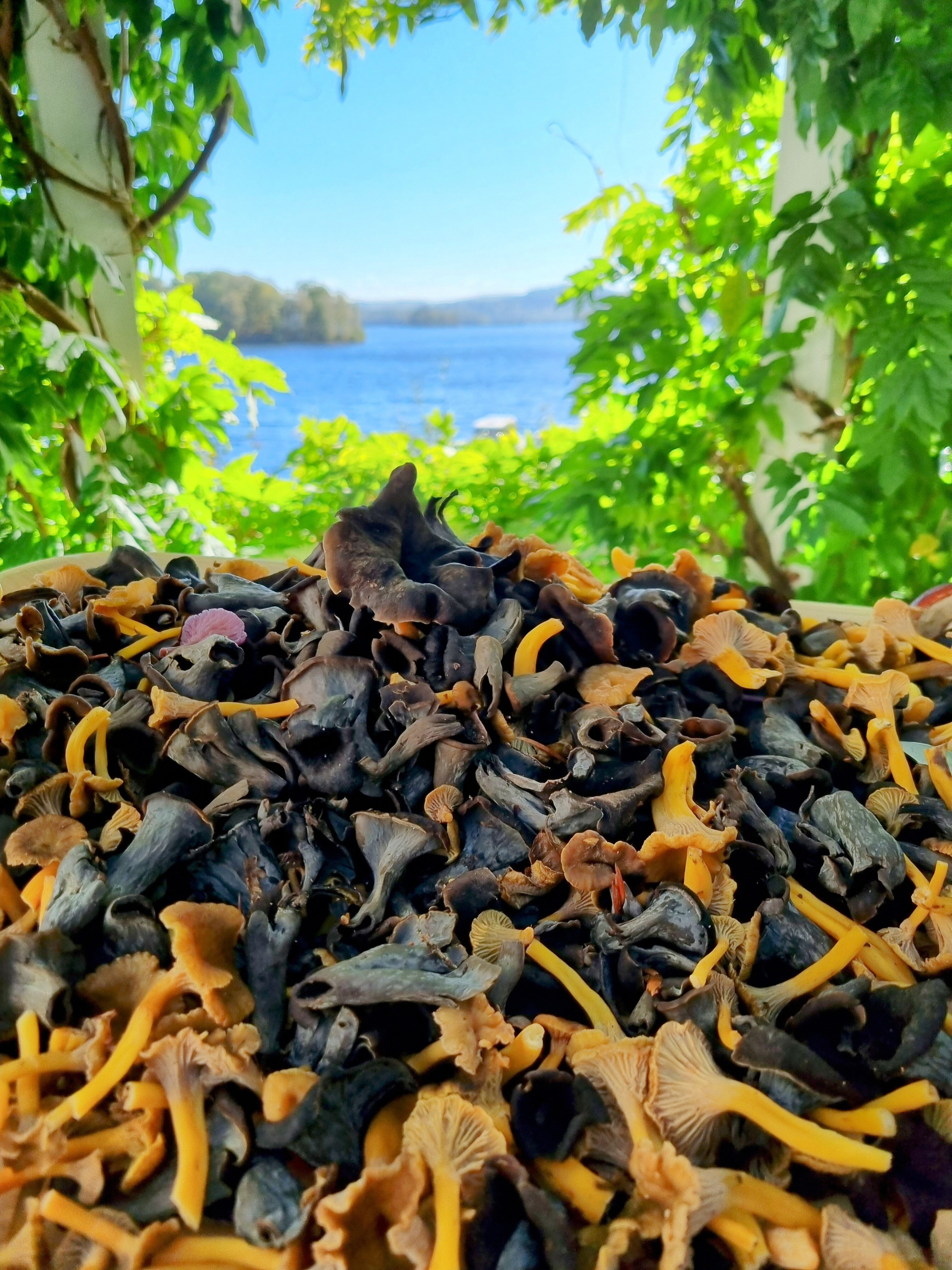 La Caravelle Hôtel-restaurant-餐饮