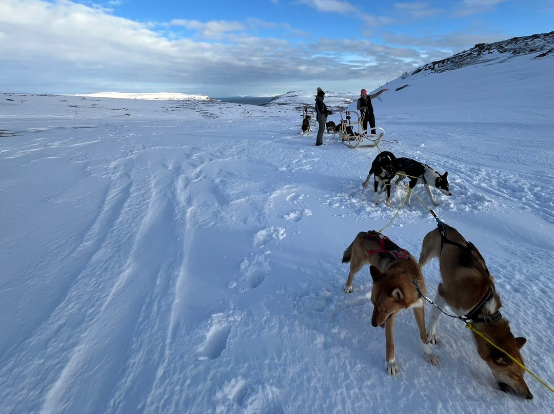 Seljeslett Gård-Russenes必去景点