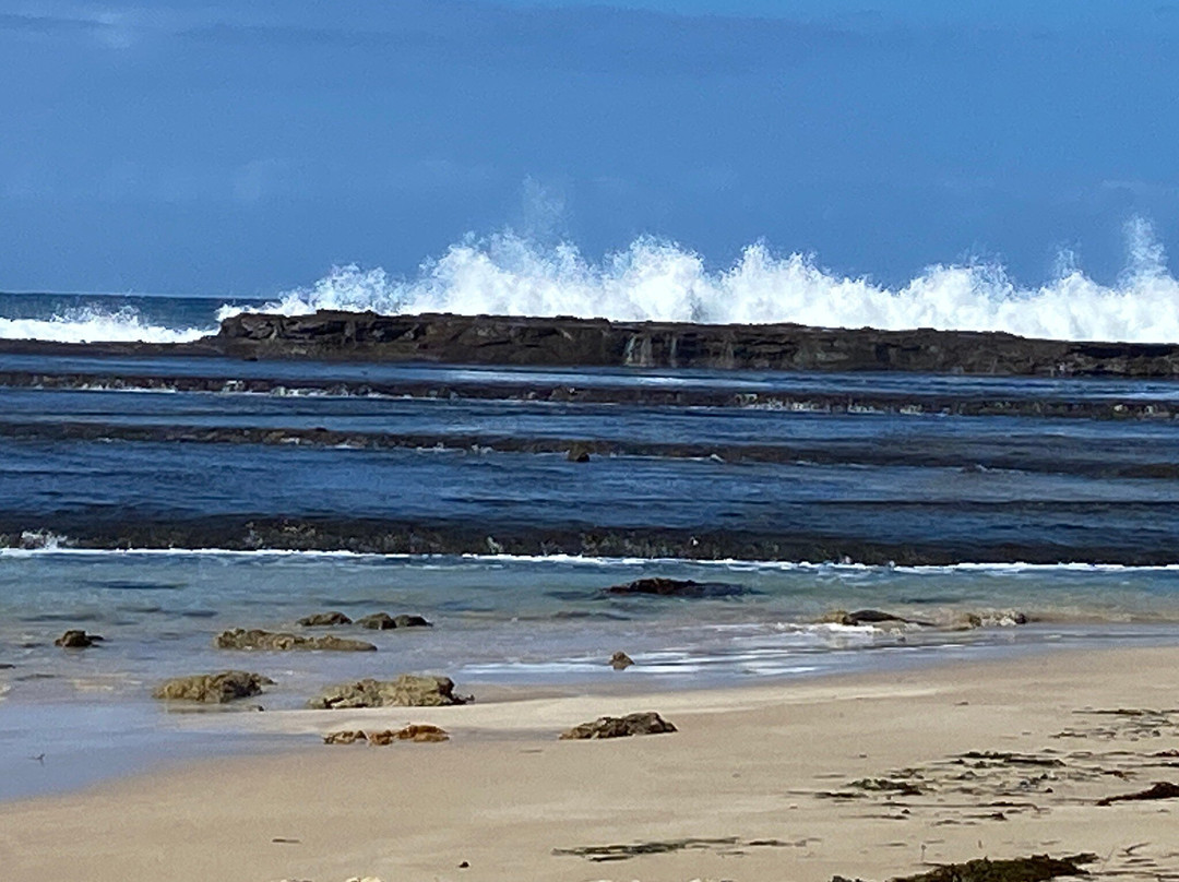 Mollymook Beach景点图片