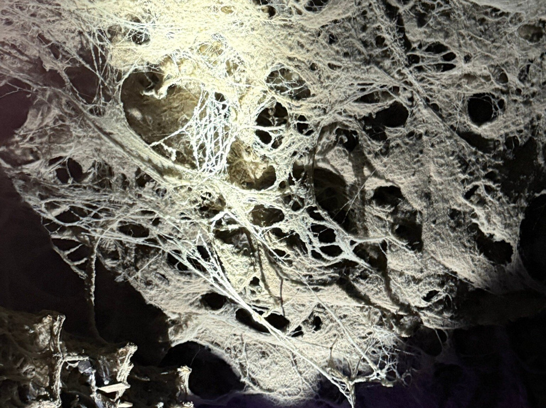 Schramsberg Vineyards-卡利斯托加必去景点