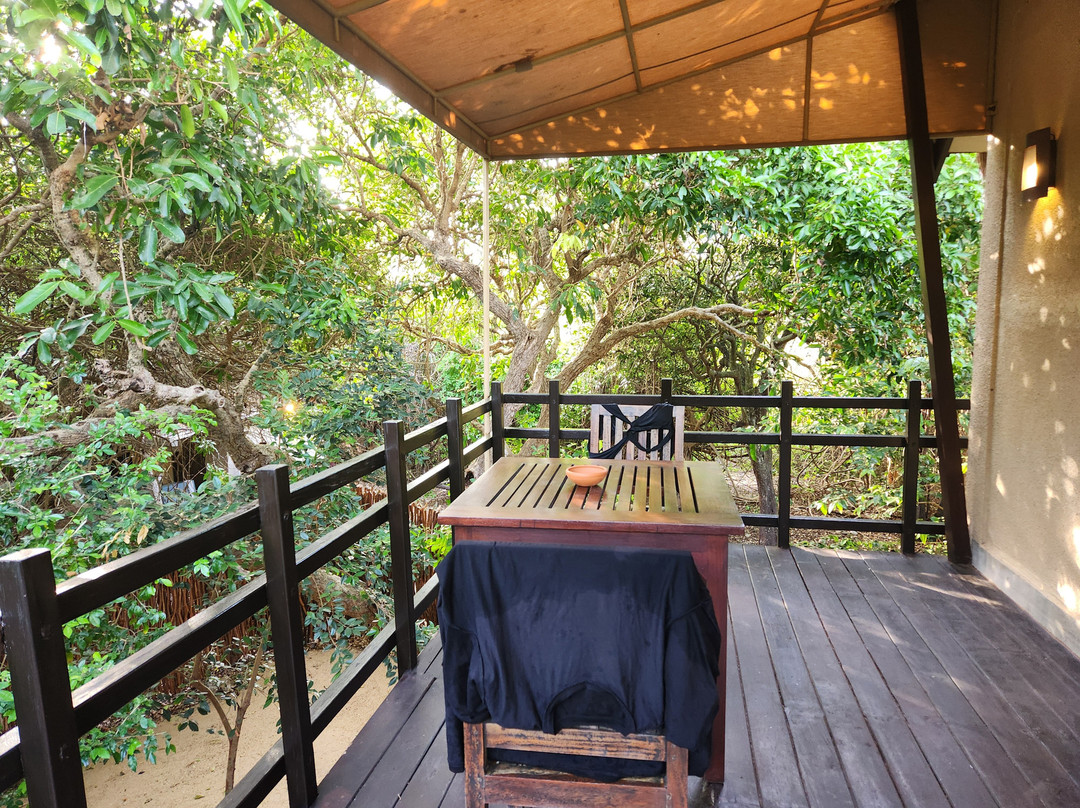 丛林海滩度假村主图