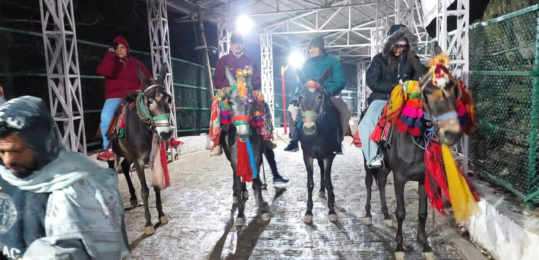 Lemon Tree Hotel, Katra主图