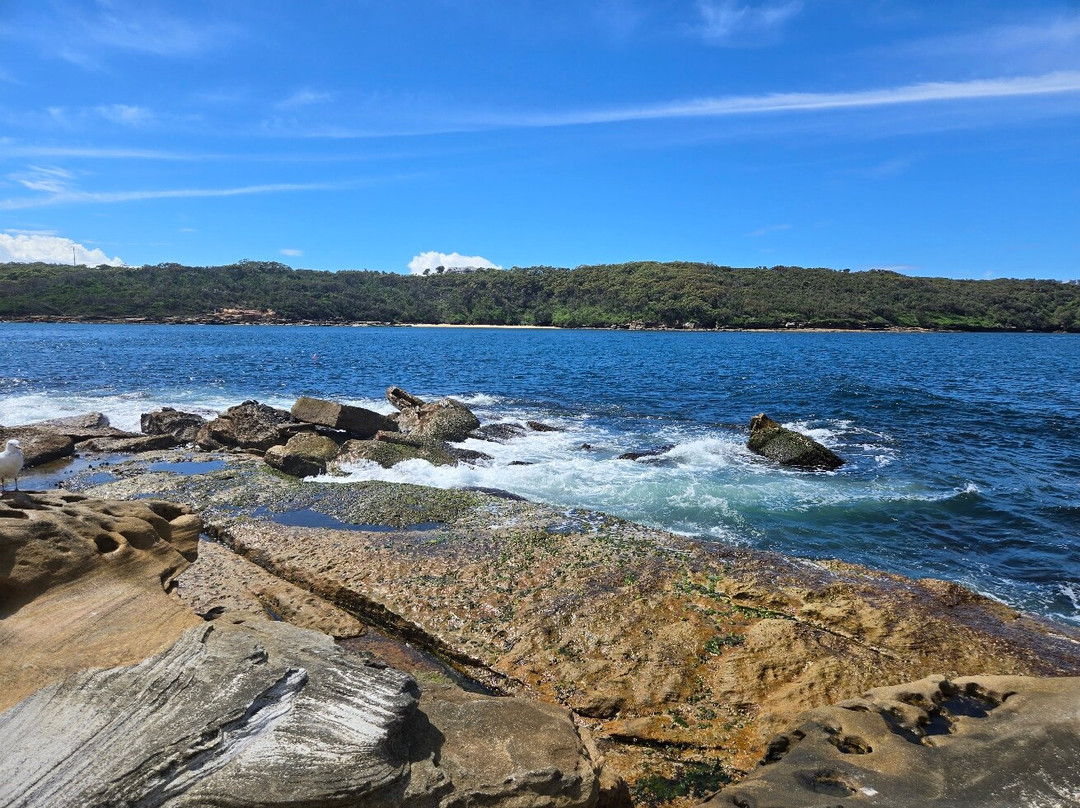 Bare island-La Perouse必去景点