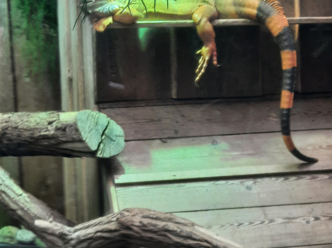 Biosphäre Potsdam-波茨坦必去景点